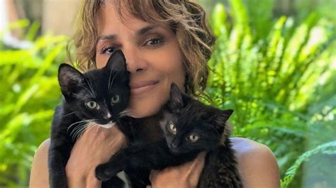 Halle Berry adota gatos e diz que se tornou ‘amante。